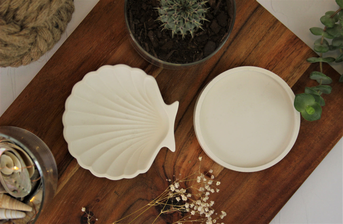 Seashell Tray