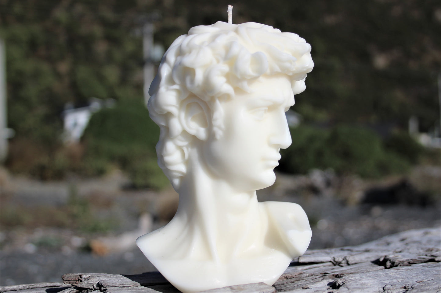 David by Michelangelo Sculpture Candle